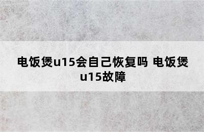 电饭煲u15会自己恢复吗 电饭煲u15故障